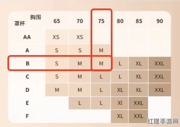 欧码的XL是亚洲码