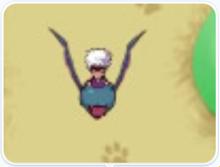 “称职小宠物txt”热议背后