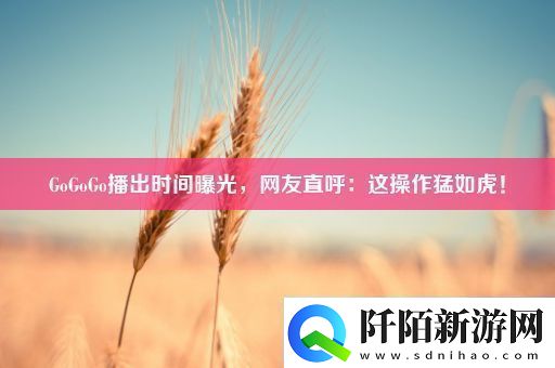 GoGoGo播出时间曝光