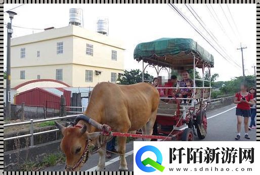 &amp;quot;牛车狂想曲