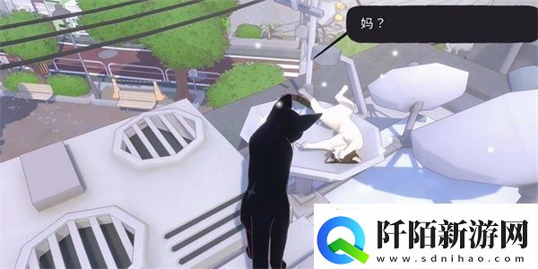 小猫咪大城市等待一缕阳光任务攻略