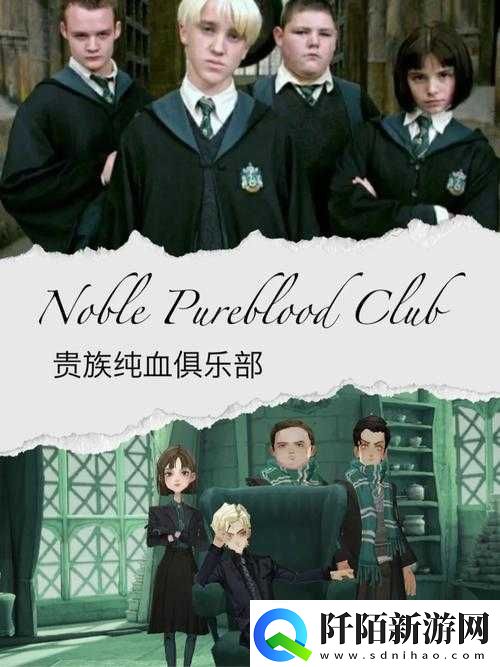 教你如何在哈利波特魔法觉醒中以马尔福三人组抽奖技巧获得最大收益