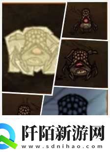 饥荒喷吐蜘蛛独特技能解析