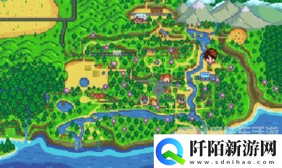 星露谷物语书摊老板在哪里