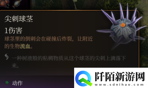 博德之门3尖刺球茎效果介绍