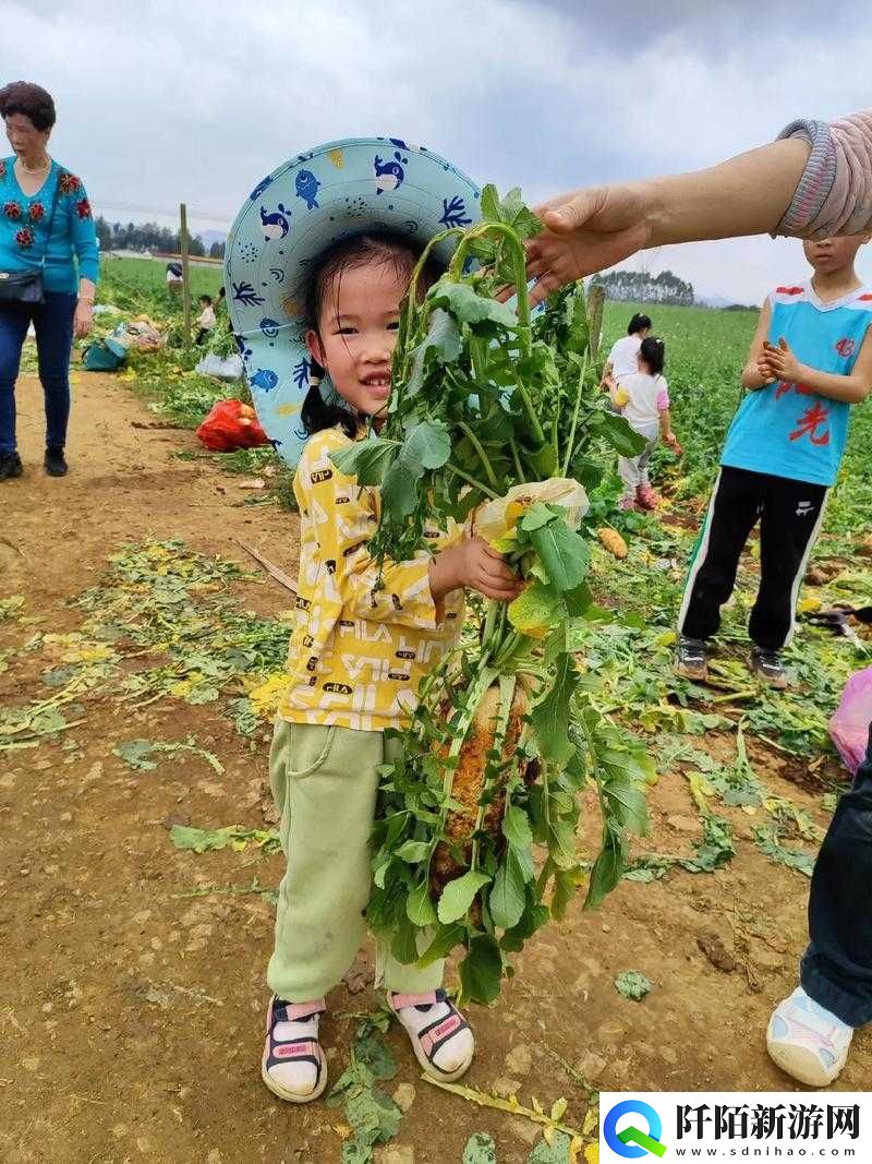 二人世界拔萝卜