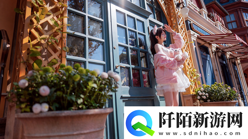 为何口碑如此之高