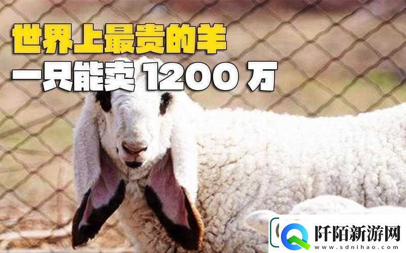 人类黎明之羊毛大发现