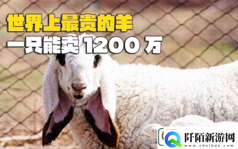 人类黎明之羊毛大发现