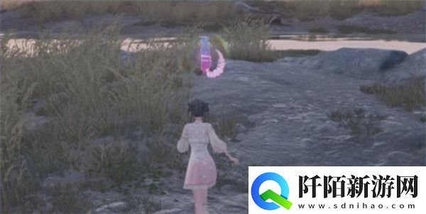 无限暖暖动物貂奇想星解谜攻略