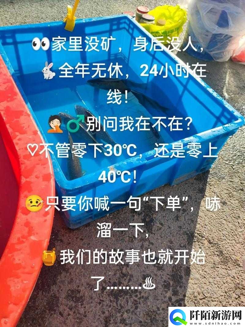 家里没人