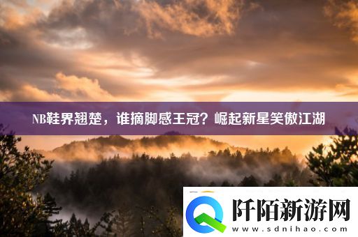 NB鞋界翘楚谁摘脚感王冠崛起新星笑傲江湖