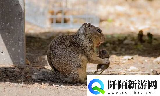 你敢信吗
