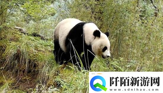 你敢信吗