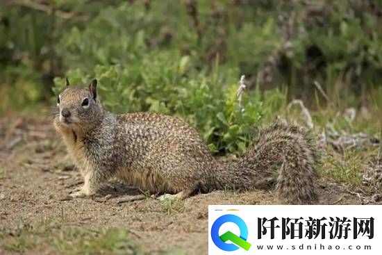 你敢信吗